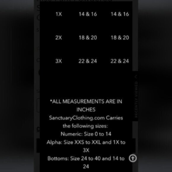 Anthropologie Reissue Cargo Standard Rise Pant Powdered Sugar Size 18 - Picture 11 of 12